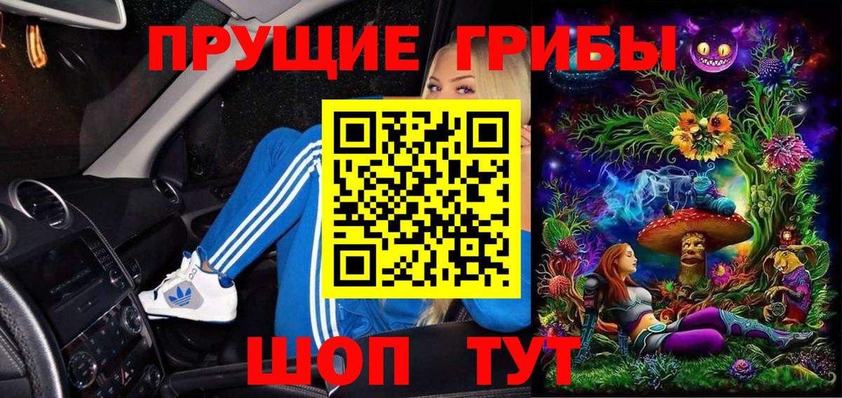 Галлюциногенные грибы мицелий Отрадное