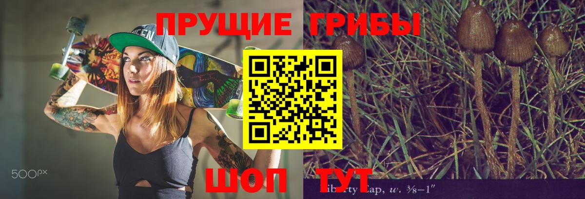 Отрадное  Галлюциногенные грибы ЛСД  Вход с VPN 